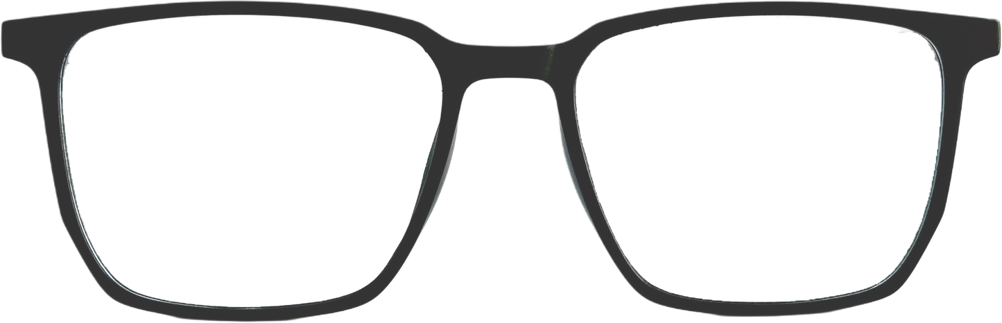 Clip Ons - The Specs co.