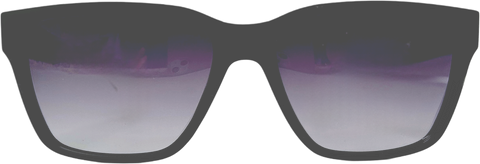 The Specs. co. Shades