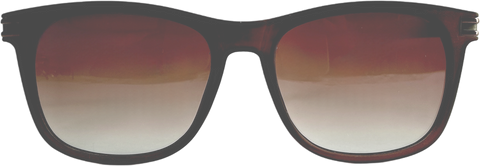 The Specs. co. Shades